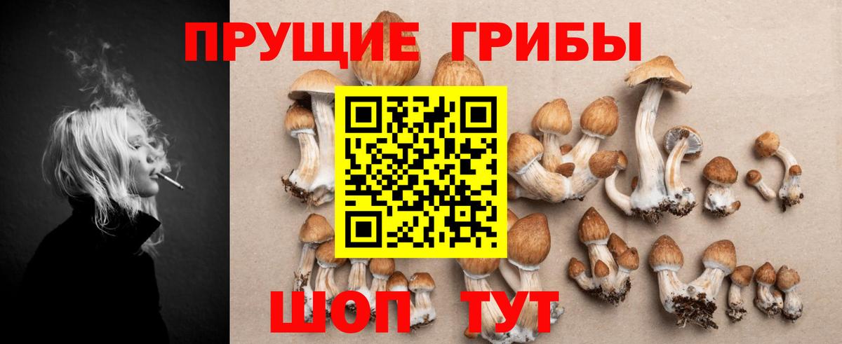 Псилоцибиновые грибы Psilocybe Воронеж